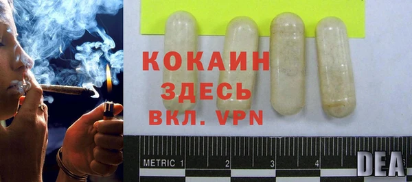 дмт Лабытнанги