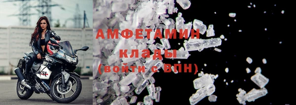 индика Медногорск