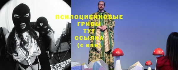 прущий лед Ладушкин