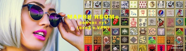 стафф Майский