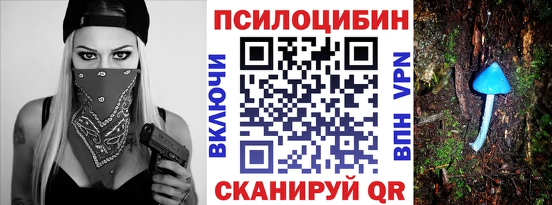 Галлюциногенные грибы Psilocybine cubensis  Любим 